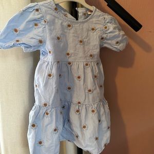 Zara daisy dress - worn twice